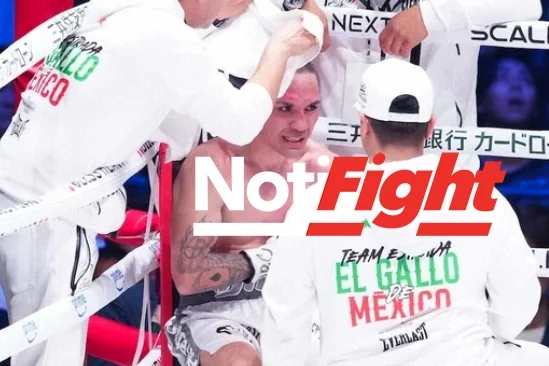 Gallo Estrada NipponService