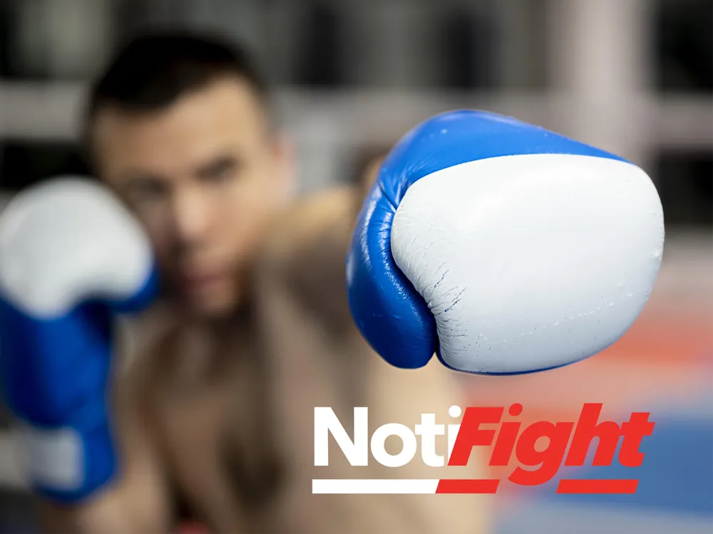 Guantes de Boxeo / Referencial