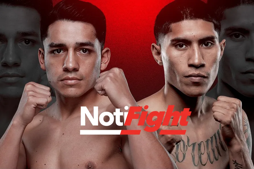 Tellez vs Torres Pro Box TV